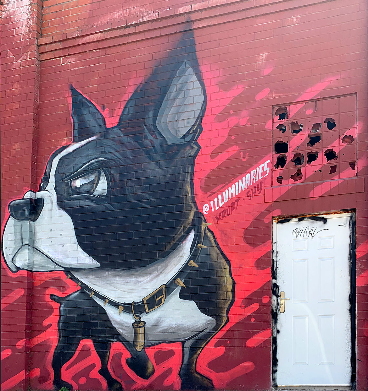 A large wall mural of a Boston terrier against a red background