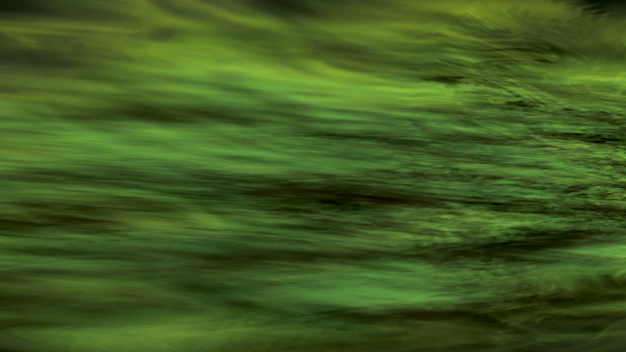 Green and black trail digital painting
