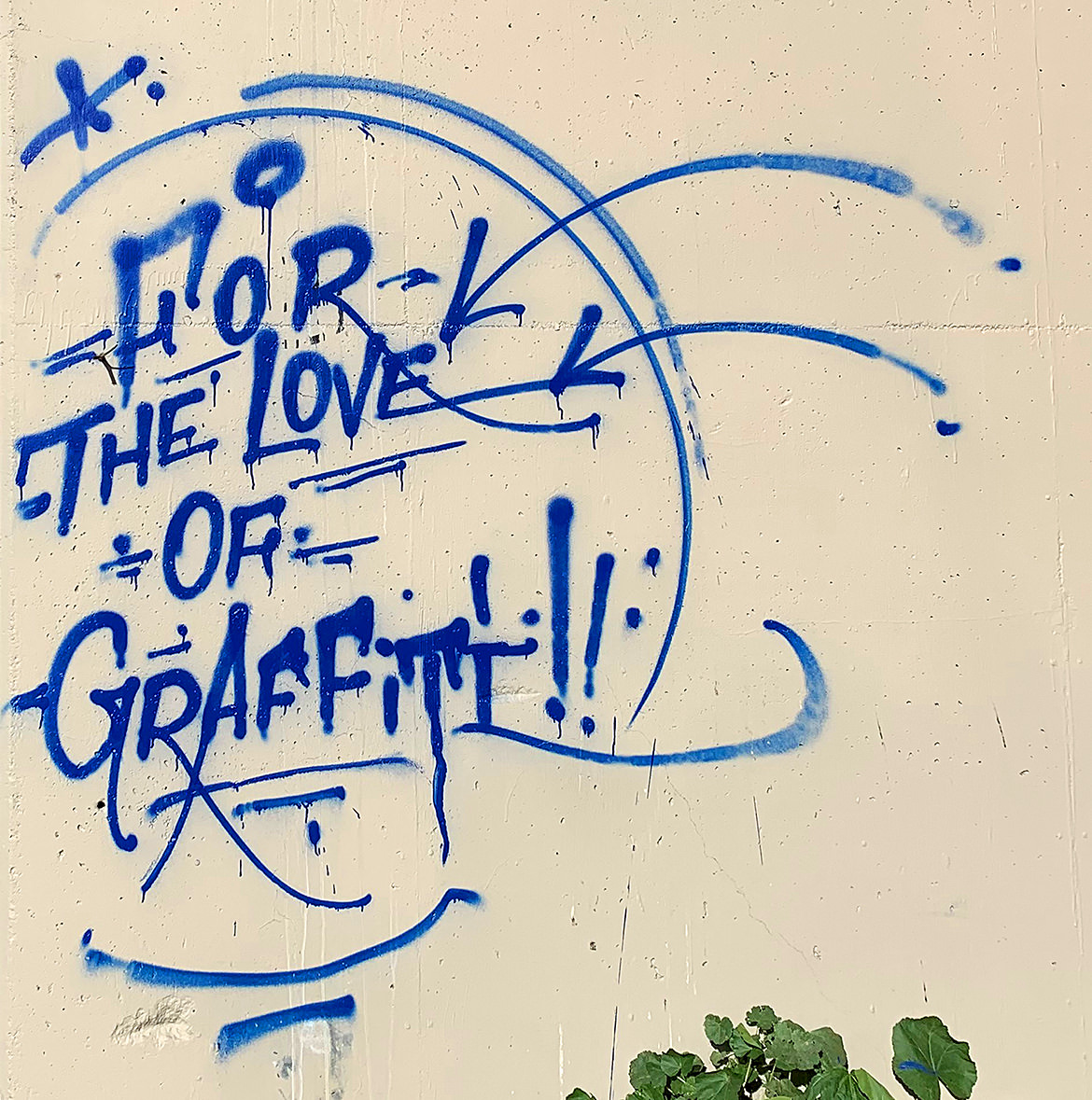 Stylized typographic spray paint of the phrase, "for the love of graffiti"